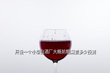 开设一个小型白酒厂大概前期需要多少投资