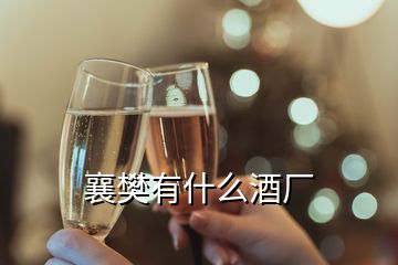 襄樊有什么酒厂