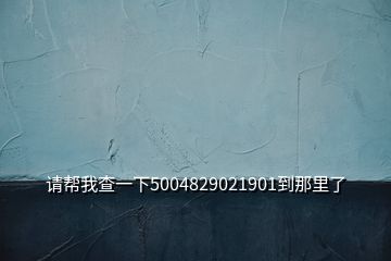 请帮我查一下5004829021901到那里了