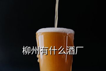 柳州有什么酒厂