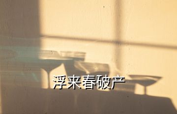 浮来春破产