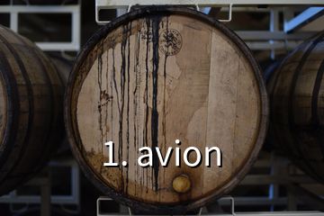 1. avion