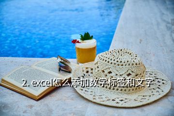 2. excel怎么添加数字标签和文字