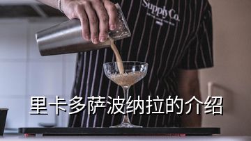 里卡多萨波纳拉的介绍