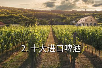 2. 十大进口啤酒