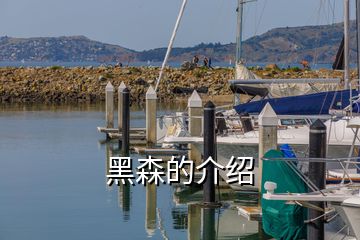 黑森的介绍