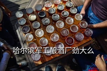 哈尔滨军工酿酒厂劲大么