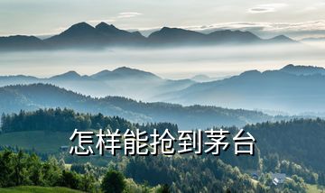怎样能抢到茅台