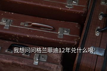 我想问问格兰菲迪12年兑什么喝