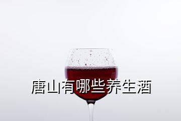 唐山有哪些养生酒