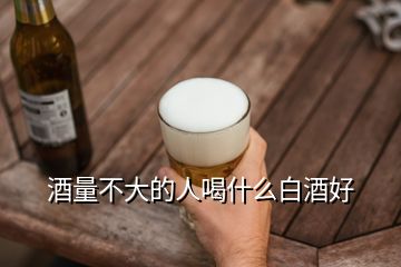 酒量不大的人喝什么白酒好