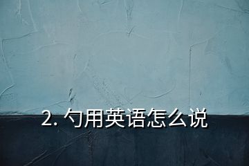 2. 勺用英语怎么说