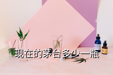 现在的茅台多少一瓶