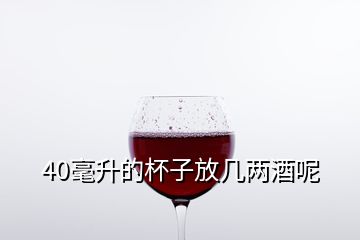 40毫升的杯子放几两酒呢