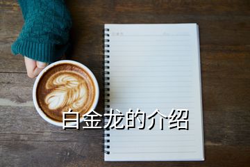 白金龙的介绍