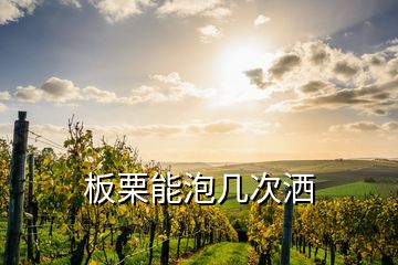 板栗能泡几次洒