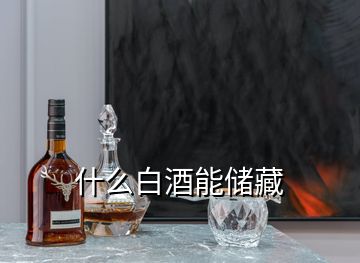 什么白酒能储藏