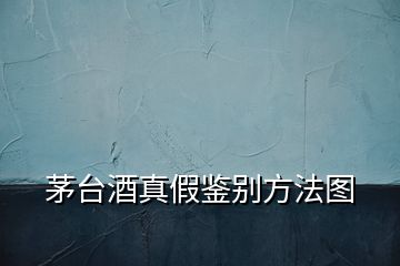 茅台酒真假鉴别方法图