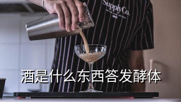 酒是什么东西答发酵体