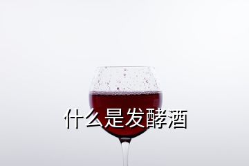 什么是发酵酒