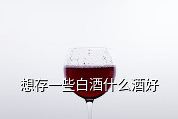 想存一些白酒什么酒好