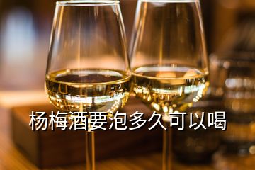 杨梅酒要泡多久可以喝