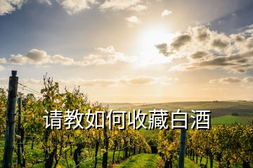 请教如何收藏白酒