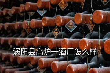 涡阳县高炉一酒厂怎么样