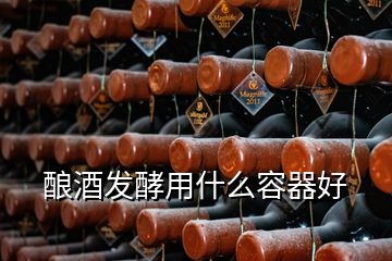 酿酒发酵用什么容器好