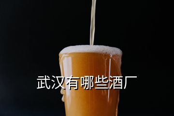 武汉有哪些酒厂