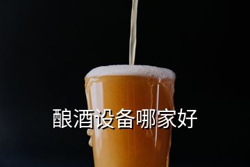 酿酒设备哪家好