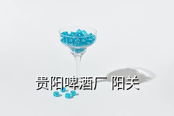 贵阳啤酒厂 阳关