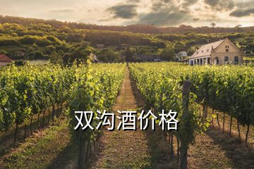 双沟酒价格