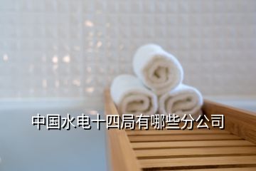 中国水电十四局有哪些分公司