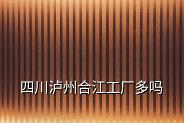 四川泸州合江工厂多吗