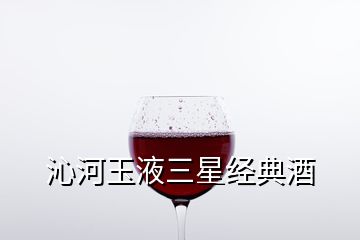 沁河玉液三星经典酒