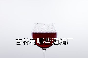 吉林有哪些酒精厂