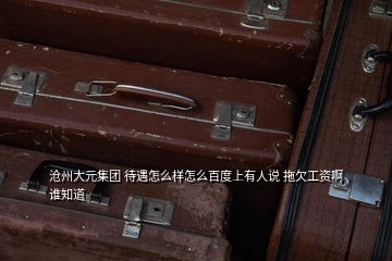 沧州大元集团 待遇怎么样怎么百度上有人说 拖欠工资啊谁知道