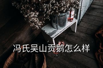 冯氏吴山贡鹅怎么样