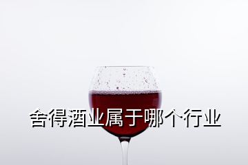 舍得酒业属于哪个行业