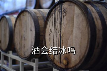 酒会结冰吗