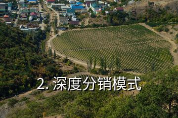 2. 深度分销模式