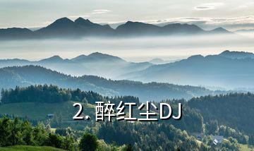 2. 醉红尘DJ