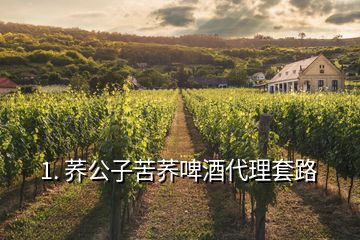 1. 荞公子苦荞啤酒代理套路