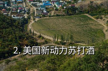 2. 美国新动力苏打酒