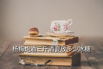 杨梅炮酒三斤酒要放多少冰糖