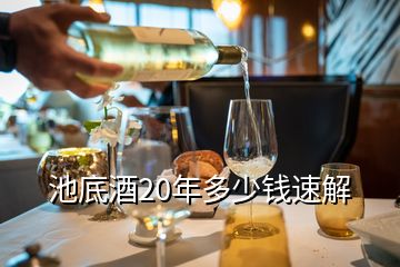 池底酒20年多少钱速解