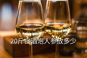 20斤白酒泡人参放多少