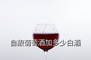 自酿葡萄酒加多少白酒