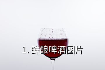 1. 鲜酿啤酒图片